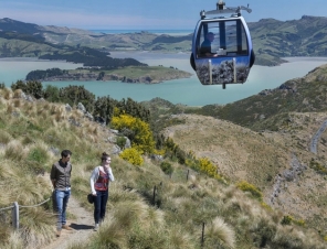 Gondola view over walking tracks